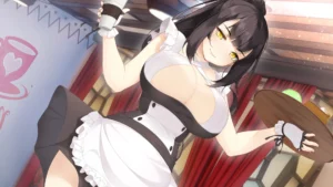 Maid Delight 1