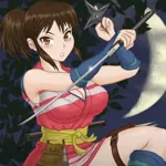 Naughty Ninja Girl apk download