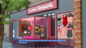 Pookie’s Lingerie Shop 1