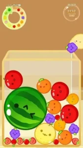 Watermelon 2
