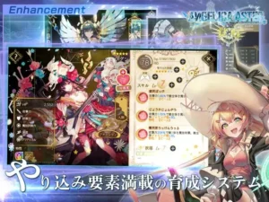 ANGELICA ASTER Mod 2