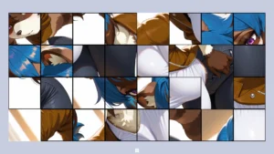 Hentai Furry Raccoon 2